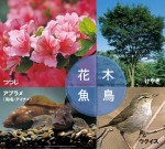 階上の花（つつじ）、木（けやき）、魚（あぶらめ）、鳥（うぐいす）