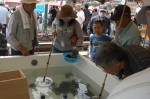 水槽から道具を使ってウニ採りに挑戦