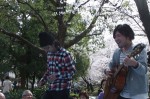 hanami06