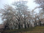 八戸の運動公園