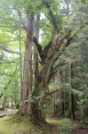 寺下観音　潮山神社