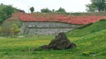 登山口の広場